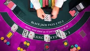 7777ef Live Cricket Bet